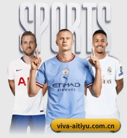 每个板块围绕一个运动项目展开(aitiyu)
