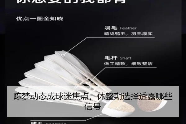 陈梦动态成球迷焦点，休整期选择透露哪些信号（aitiyu）